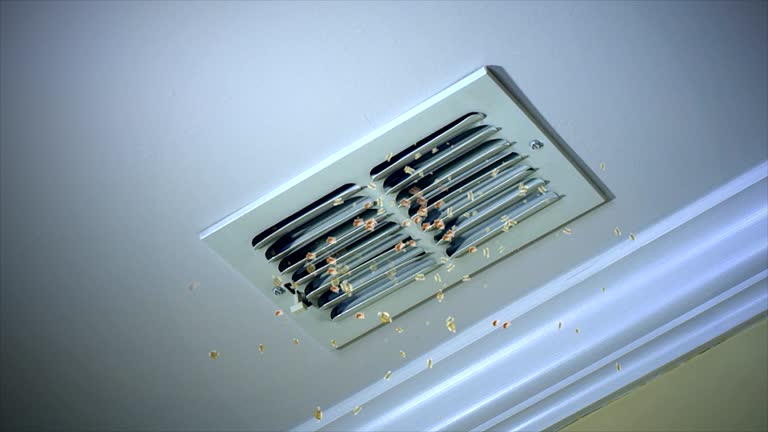 Best HVAC System Cleaning  in Rancho San Diego, CA